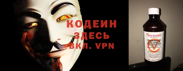 сатива Мегион