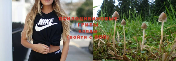 гашиш Медногорск