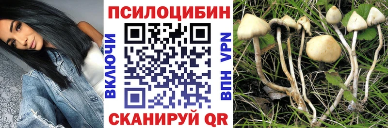 купить наркотик  Нижние Серги  маркетплейс какой сайт  Псилоцибиновые грибы MAGIC MUSHROOMS 